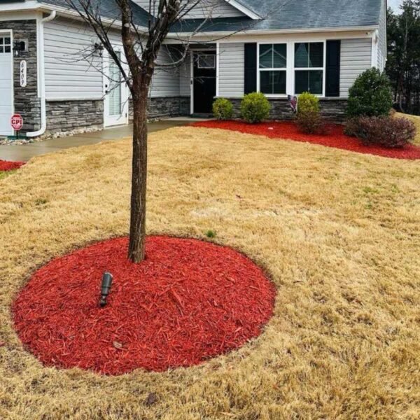 Red Mulch - Image 4