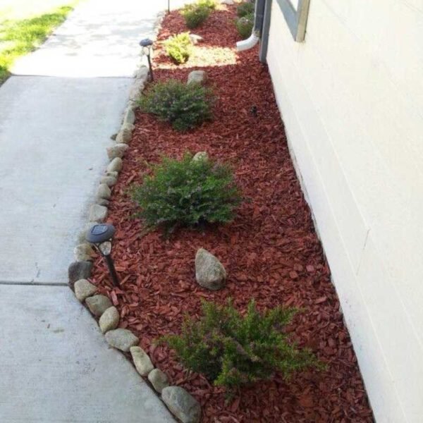 Red Mulch - Image 3