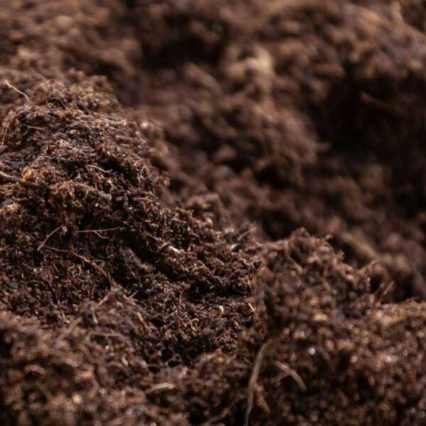 Compost Soil