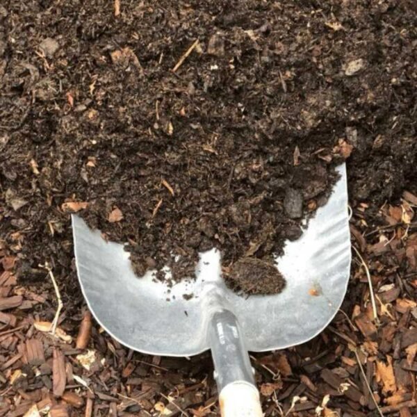 Compost Soil - Image 2