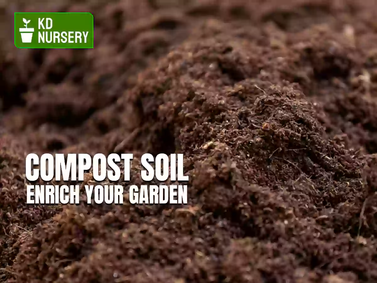 Compost Soil Buffalo NY