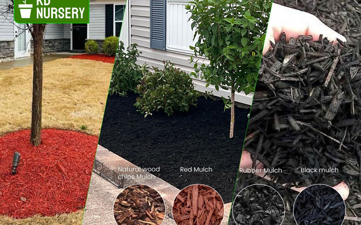 mulch in Buffalo, NY