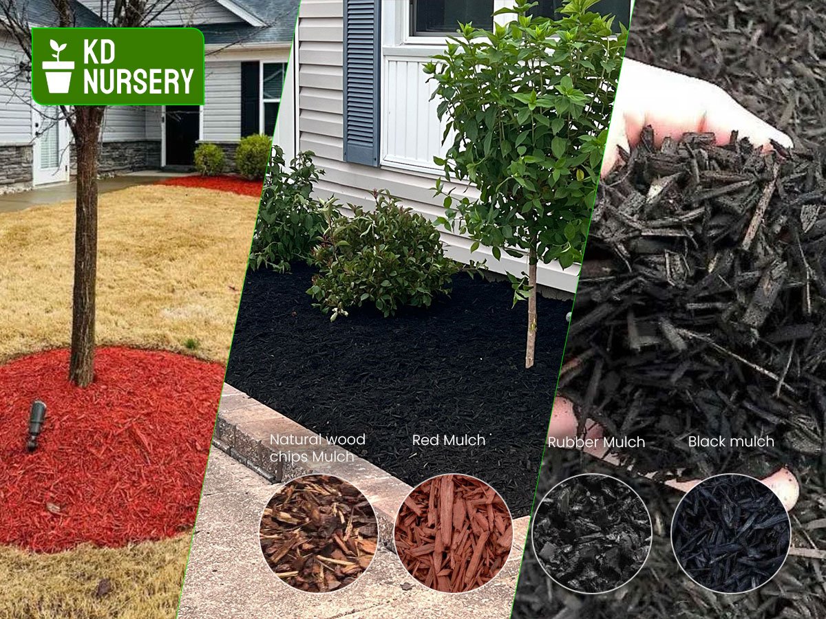 mulch in Buffalo, NY