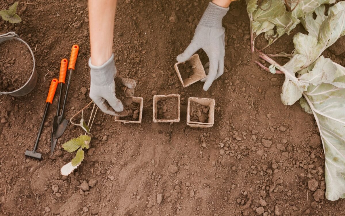 How to Winterize Garden Beds with Screened Topsoil & Compost Soil How to Winterize Garden Beds with Screened Topsoil & Compost Soil