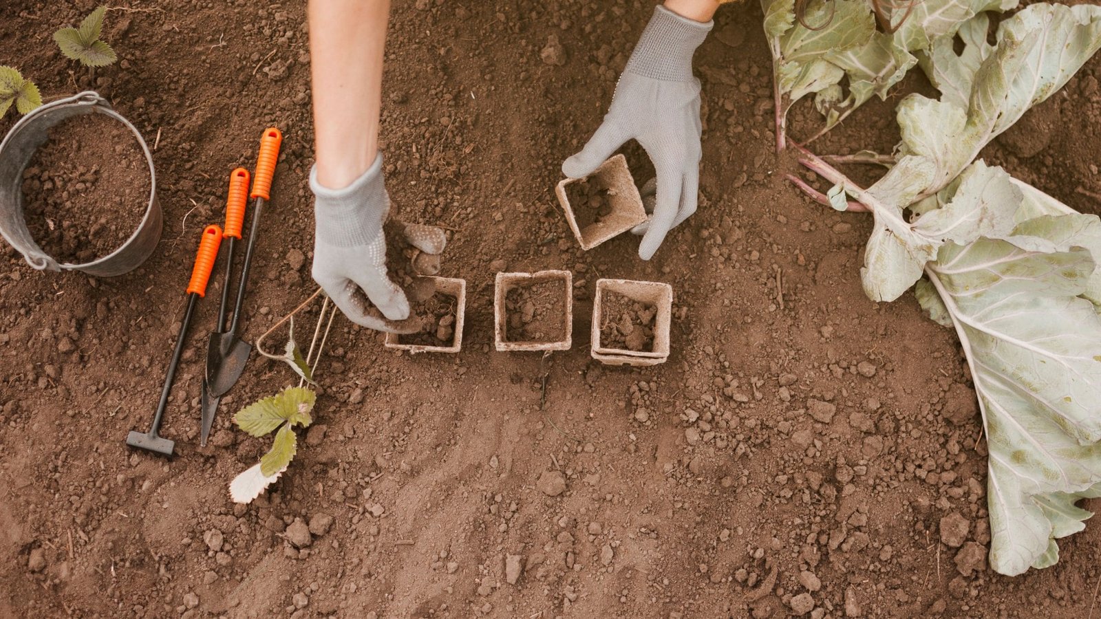 How to Winterize Garden Beds with Screened Topsoil & Compost Soil