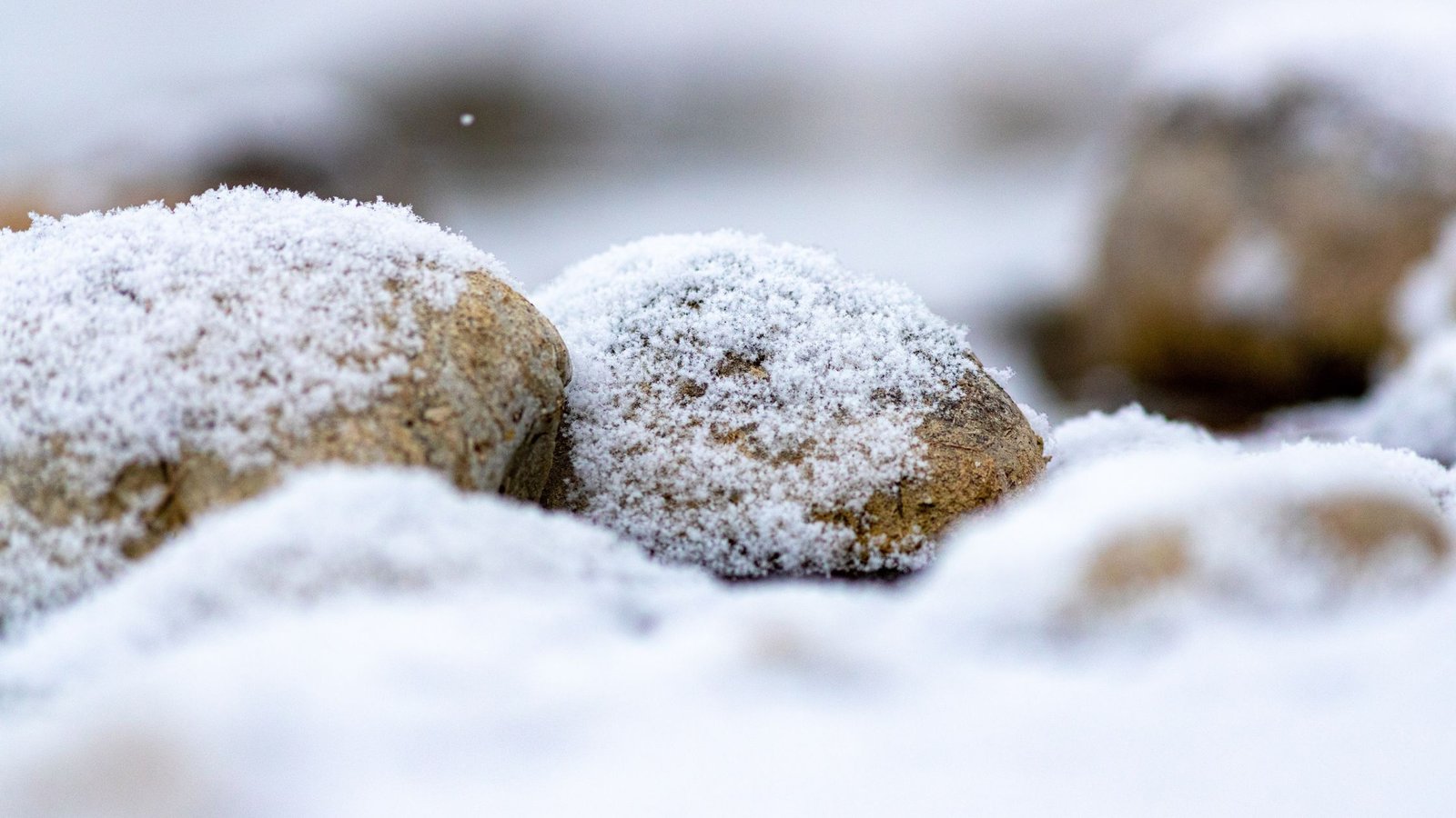Decorative Rocks That Survive Harsh Winters: River Rock, Clean #1 & White Marble
